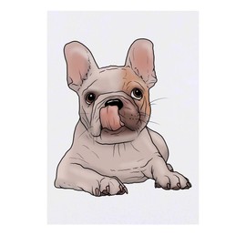 'French Bulldog Puppy' Temporary Tattoo - Water Resistant, Skin-Safe, Non-Toxic Transfer (TO00046258)