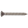 Hillman 823666 Stainless Steel Oval Head Phillips Sheet Metal Screw,