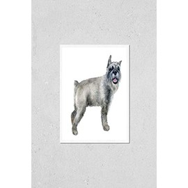 Watercolor closeup portrait of cute grey color standard Schnauzer breed puppy isolated on white background. German moustache terrier-type dog. Hand drawn sweet home pet. Greeting card design. Clip art