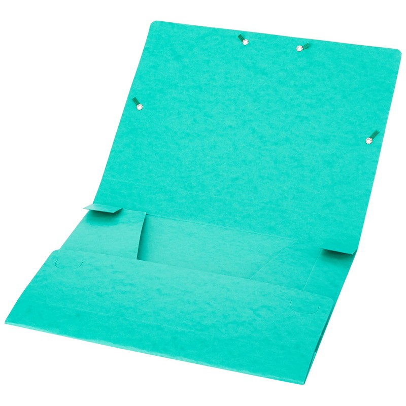 Exacompta 14003H Premium Collection Box with Elastic Band, 40 mm