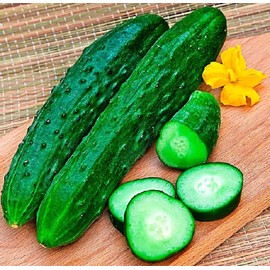 RAISE ME UP: Seeds Cucumber April F1 Self-Pollinated 45 Days for Pickling Indoor Non GMO Heirloom