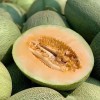 JQBay Cantaloupe Melon Seeds – 25 Seeds Non-GMO Heirloom Variety