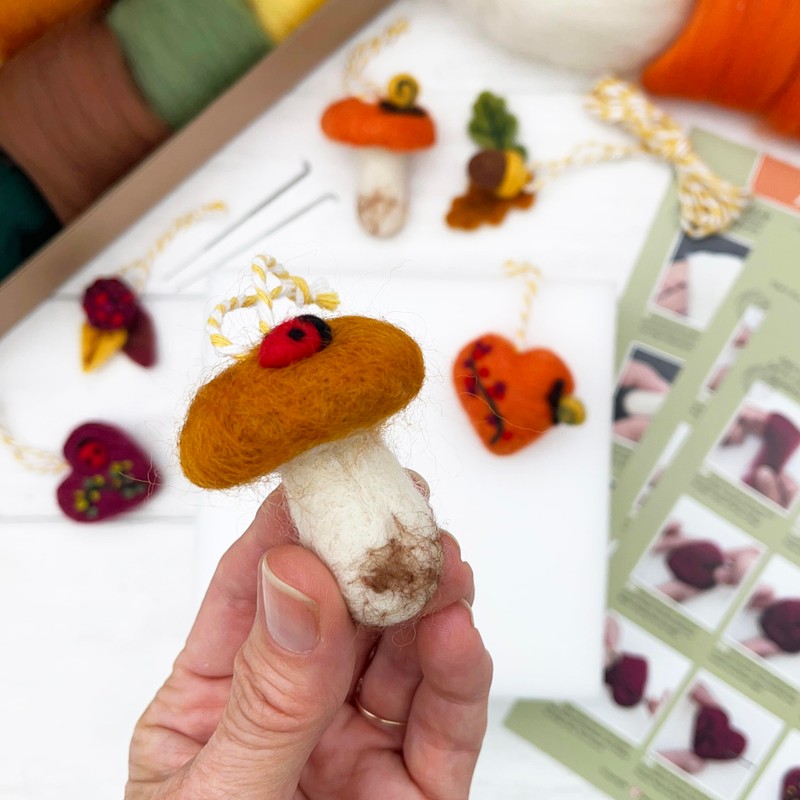 Bergin & Bath Needle Felting Kit - Autumn, Learn to