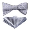 HISDERN BC-01 Men's Paisley Bow Tie Set, Hand Tied, Includes