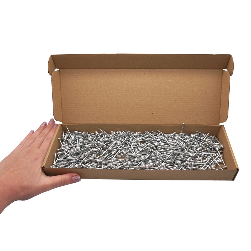 SKIR'CO Countersunk Aluminium Blind Rivets 4.0 x 6 mm Steel