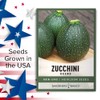 Round Zucchini Seeds for Planting Heirloom, Non-GMO Vegetable Summer Squash