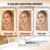 Rechargeable Travel Makeup Mirror with Light,10X 40X Magnification