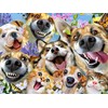 Ceaco - Selfies - Companion Selfies - 500 Piece Jigsaw