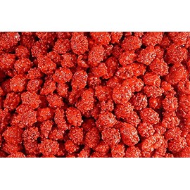 The Nutty Fruit House French Burnt Peanuts Candy (1 Pound (Pack of 1))