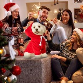 Dog Christmas Costume, Dog Costume Christmas, Dog Coat for 4.5-8 kg, Large, Medium, Large Dog Clothing, Christmas Hat, Santa Reindeer Costume for Dogs, Christmas Jumper Pet Hoodie