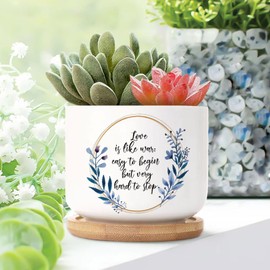 DecStic Love is Like War Ceramic Planter Bible Verse Planters for Indoor Plants with Drainage Holes and Saucers Pot for Home Desktop Office Windowsill
