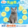 PETLINKMORE Lactic Acid Bacteria Pet Supplement for Cats, Made in