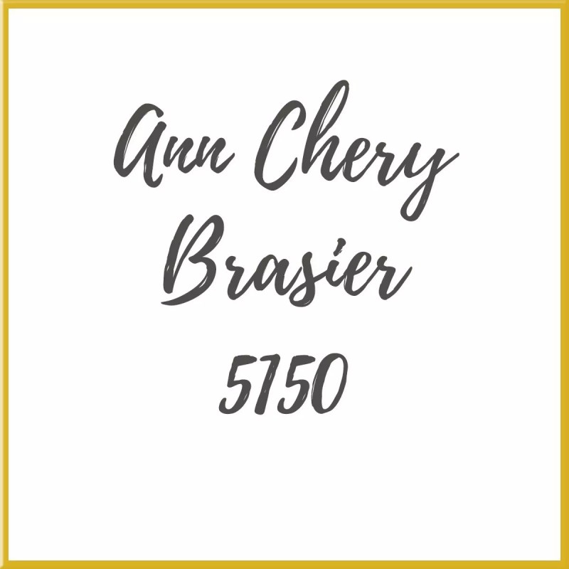 Ann Chery Brasier Ann Chery Post Operatorio Postquirurgico 5150
