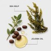 Moisture Recovery Moisturizing Conditioner | For Thick, Coarse, Dry Hair