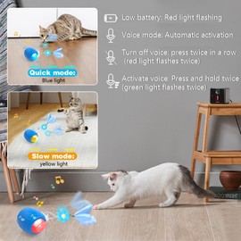 LEUCITE Interactive Cat Toys: Agile Moving Ball with Elastic Mesh Tail for Indoor Cats and Kittens