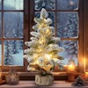 Pre-lit Snowy Mini Christmas Tree, Small Tabletop Flocked Christmas Tree