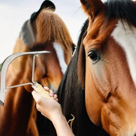 Grooming Tool for Horse | Stainless Steel Horse Grooming Scraper | Livestock Cleaning Brush, Portable Horse Shedding Brush for Horses and Livestocks