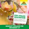 Neudorff Biokraft Vitalkur für Orchideen (Ready to Use) 500 ml