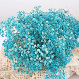 Dried Babys Breath Flowers Bouquet-17 Inch 2500+ Blue Dry Flowers, Natural Gypsophila Branches for Wedding, Table Vase Decor, DIY Wreath Floral, Home Office Party Garden Decoration (3oz)