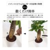 Tokyo Juen Nutritional Agent Growing Energized by Ion Power, Ion