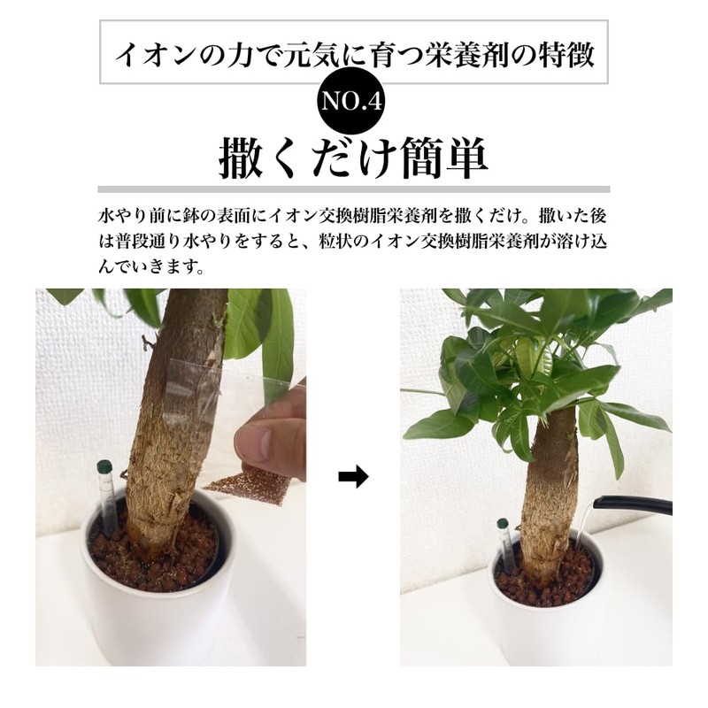 Tokyo Juen Nutritional Agent Growing Energized by Ion Power, Ion