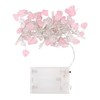 West Ivory 5 feet 20 LED String Fairy Light w/Pink