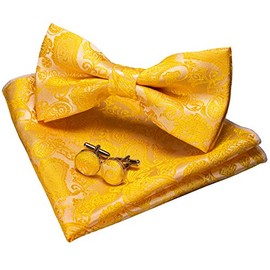 JEMYGINS Bowtie Yellow Paisley Bow Tie and Pocket Square with Cufflinks Set for Men