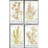 Bophuthatswana 80-83 (complete.issue.) FDC 1981 grasses (Stamps for collectors) plants/mushrooms