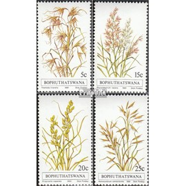 Bophuthatswana 80-83 (complete.issue.) FDC 1981 grasses (Stamps for collectors) plants/mushrooms