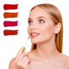 Frcolor Lip Gloss Tube Lip 10ml Clear Container Divider Bottle
