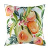 Evans Lichfield Fruit Peaches Cushion Cover, Multi, 43 x 43cm
