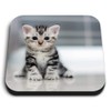 1 x Square MDF Fridge Magnet - Grey Tabby Bengal