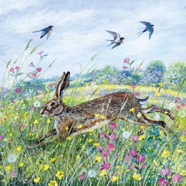 Female Birthday/Blank Card - General Card for Women/For Her - Hare and Swallows - Artistic Countryside Design by Lucy Grossmith - Made in the UK