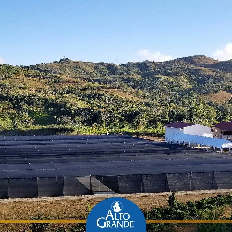 Alto Grande Coffee Super Premium Ground Coffee From Puerto Rico,