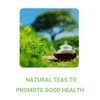 FocusT | Aura Herbal Tea | Caffeine-Free Mental Alertness |