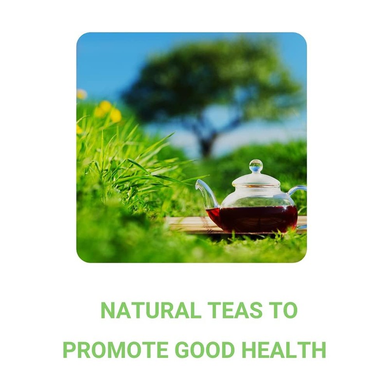 FocusT | Aura Herbal Tea | Caffeine-Free Mental Alertness |