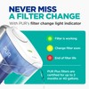 PUR Plus 11-Cup Water Pitcher, 1 Lead-Reducing Filter, Cleaner, Great-tasting