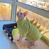 Dinosaur Sphynx Cat Clothes, Soft Polar Fleece Sweater for Cat,