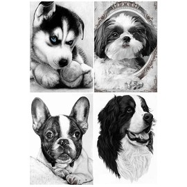 Diamond Painting 4 Pack 30 x 40 cm Diamond Painting Pictures Adult Animals Cross Stitch Embroidery Diamond Painting Dog Yorkshire Diamond Painting Dog Dachshund Bead Picture for Gluing Children
