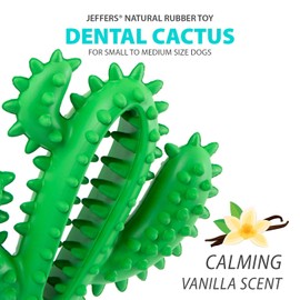 Jeffers Pet Natural Rubber Dog Chew Toy – Green Dental Cactus, Medium – Vanilla Scent, Durable, Non-Toxic, Dishwasher Safe, Interactive Fetch, Tug Toy & Dental Play - Perfect for Training