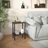Apicizon 2 Tier End Table, Small Side Table with Solid