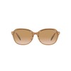 Coach HC8332D Women's Sunglasses, Transparent brown