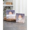 Pack Of 6 Festive Robin Charity Christmas Cards Multiple Charities