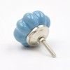 Chunky Painted Blue Ceramic Melon Knob, Pull, Handle, for Cupboards,