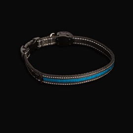 Sherry Kline LED Light-Up Pet Collar - USB Rechargeable - Flashing Glow in The Dark Size Large, Color: Blue