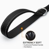 Joytale Padded Handle Dog Lead,Double-Sided Reflective Nylon Dogs Leads for