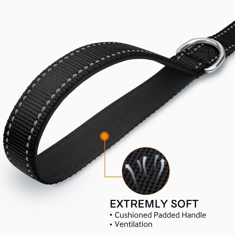Joytale Padded Handle Dog Lead,Double-Sided Reflective Nylon Dogs Leads for
