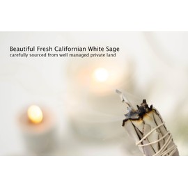12 x Californian White Sage Smudge Sticks 4 inch (approx. 10cm)