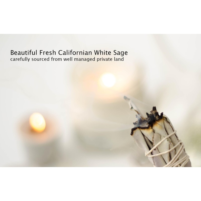 12 x Californian White Sage Smudge Sticks 4 inch (approx.