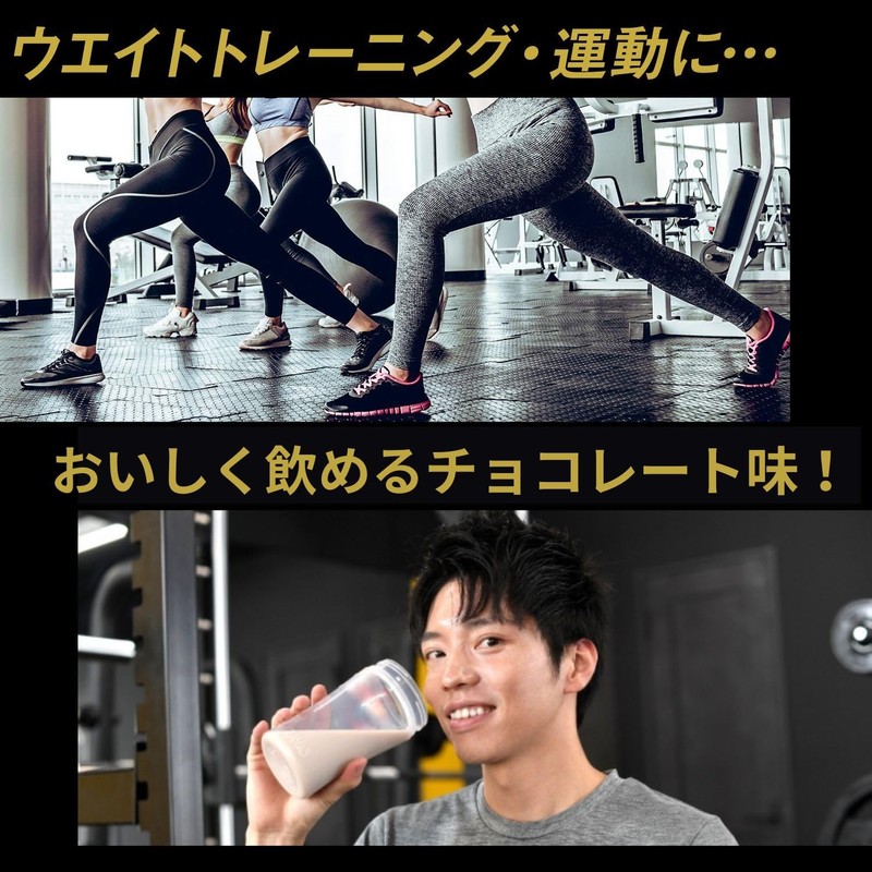 パワープロダクション マックスロード ホエイプロテイン チョコレート味 850g たんぱく質 含有率70.3%(無水物換算値)